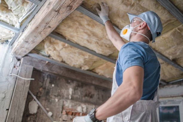 Best Attic Insulation Installation  in Travis Ranch, TX