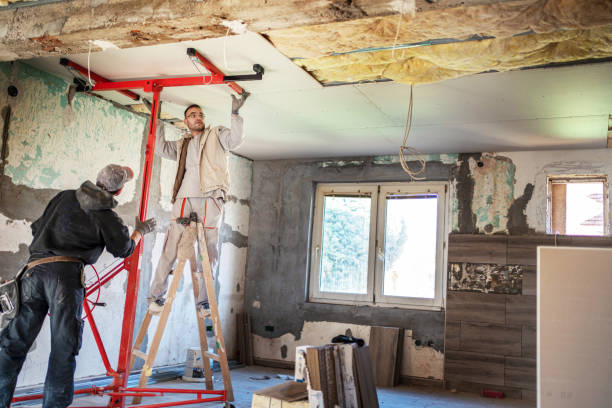 Best Insulation Contractors for Homes  in Travis Ranch, TX