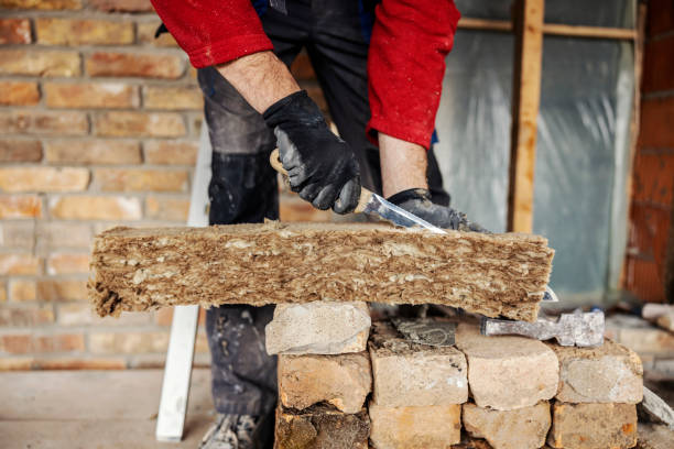 Best Cellulose Insulation  in Travis Ranch, TX