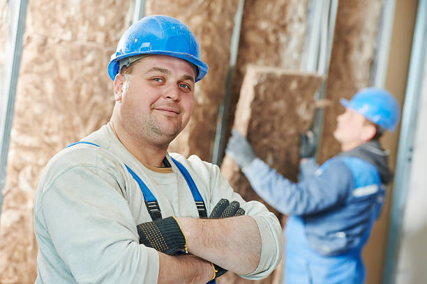 Best Attic Insulation Installation  in Travis Ranch, TX