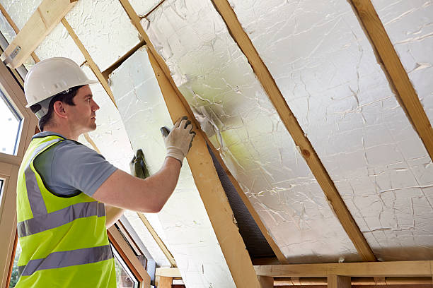 Best Home Insulation Services  in Travis Ranch, TX