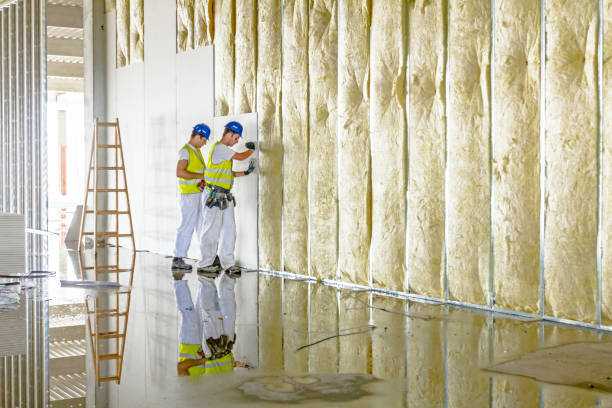 Best Spray Foam Insulation  in Travis Ranch, TX